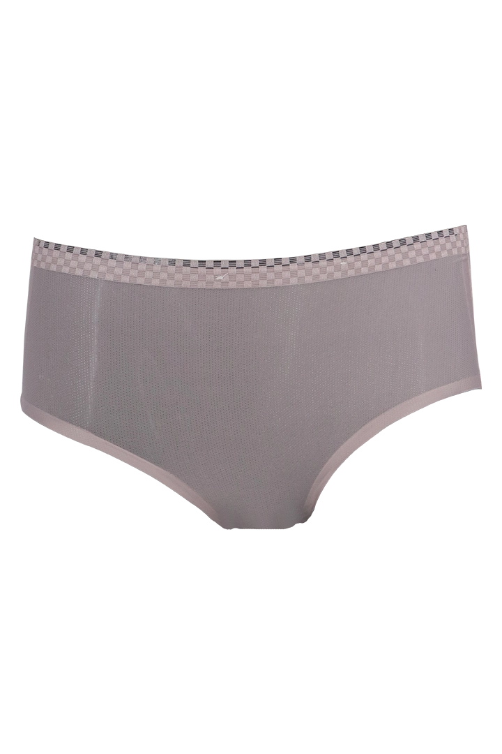 Women Ice Silk Panties