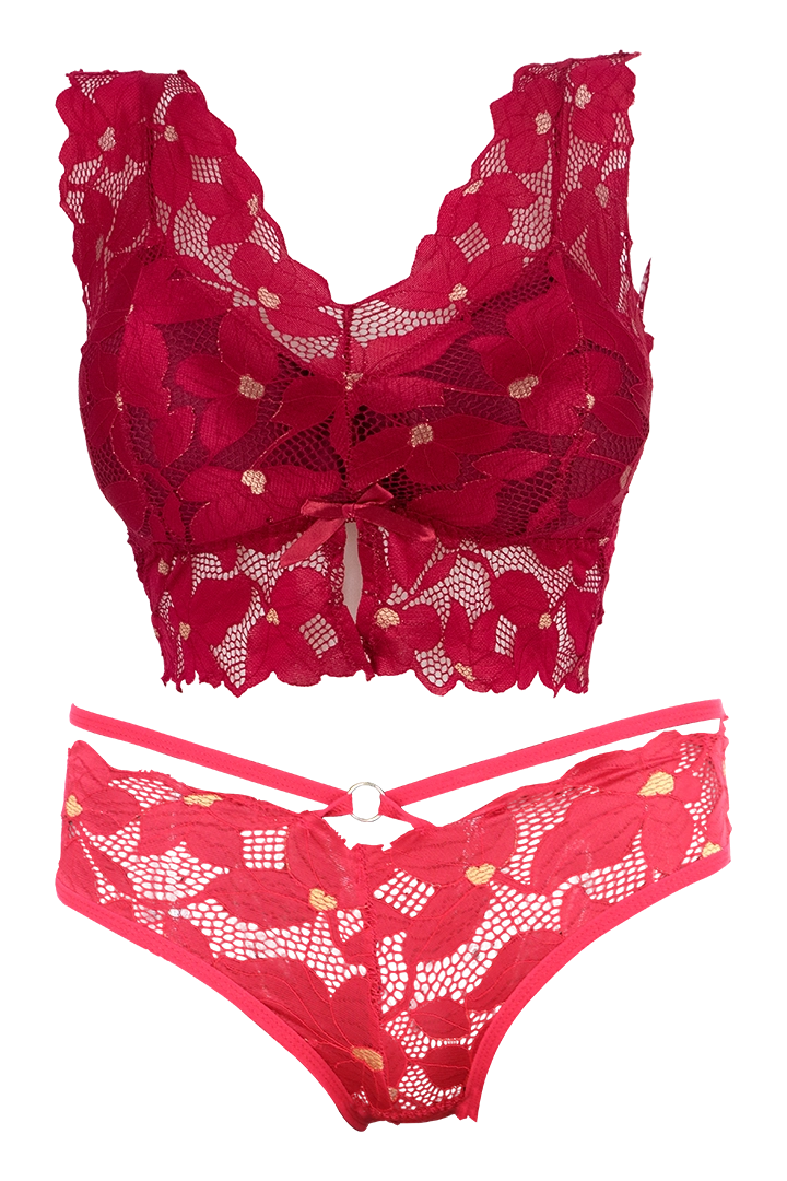 Women Floral Print With Net Lingerie Set