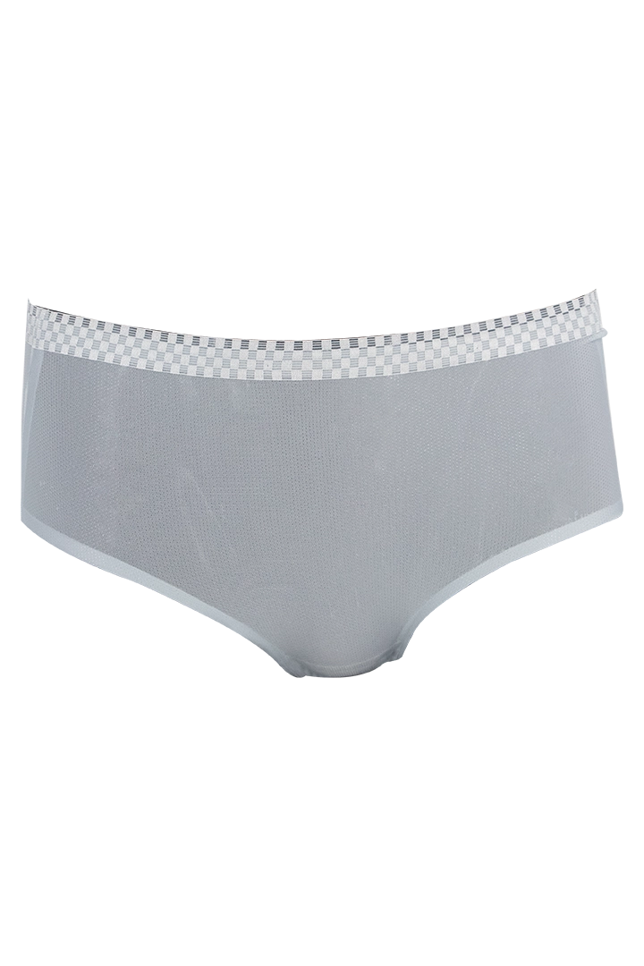 Women Ice Silk Panties