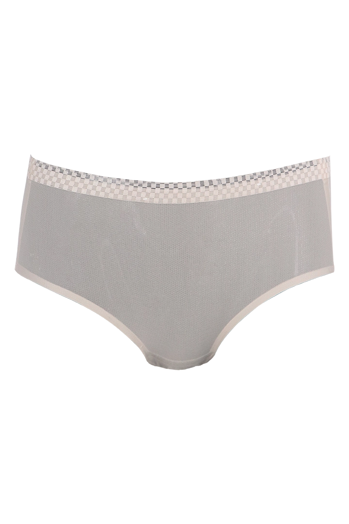 Women Ice Silk Panties