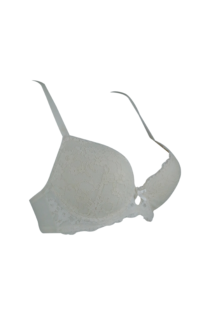 White Lace Desige Wired Bra