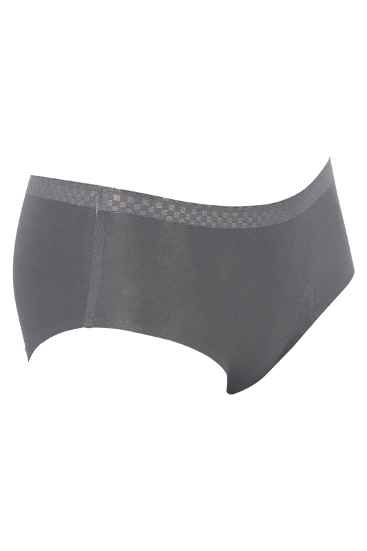 Women Ice Silk Panties