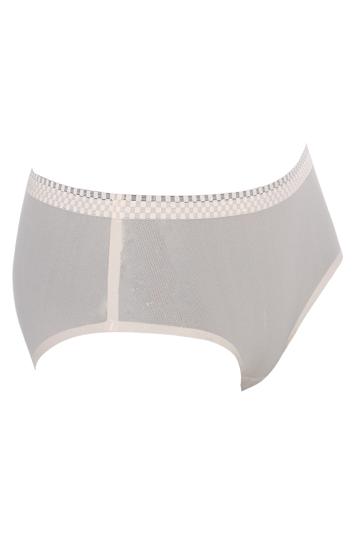 Women Ice Silk Panties