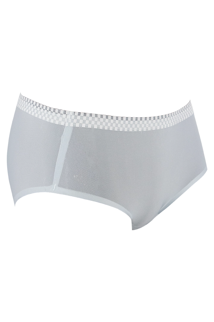 Women Ice Silk Panties