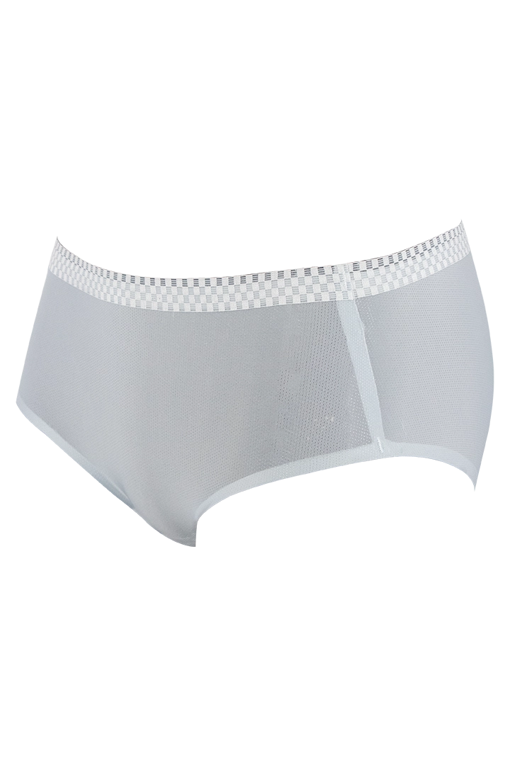 Women Ice Silk Panties