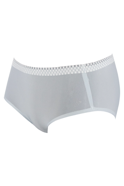 Women Ice Silk Panties