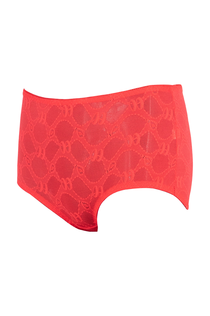 Women High Waist Panty