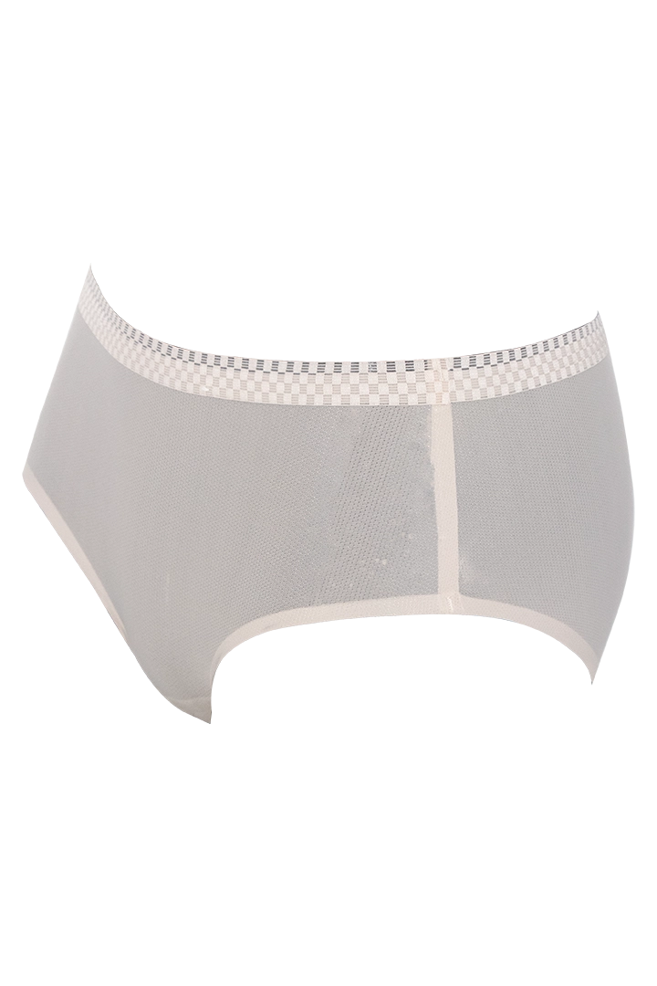 Women Ice Silk Panties