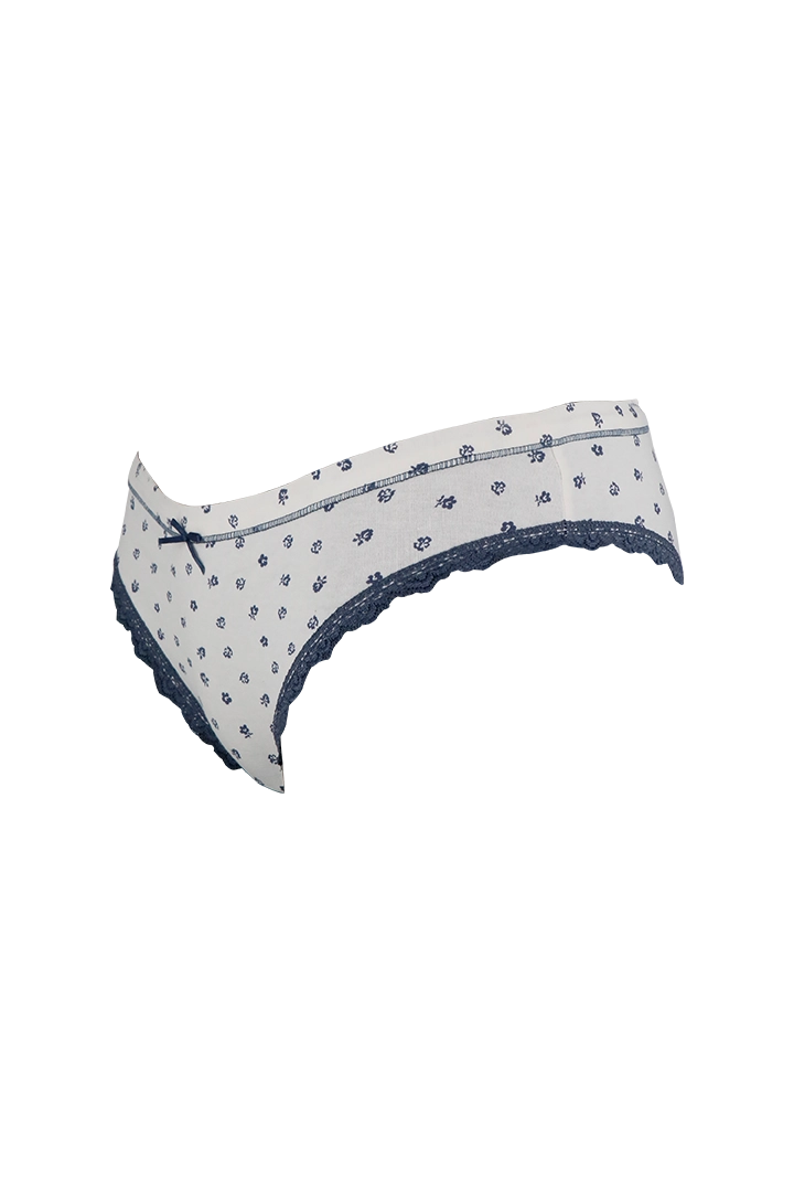 White And Blue Printed Cotton Low Rise Panty