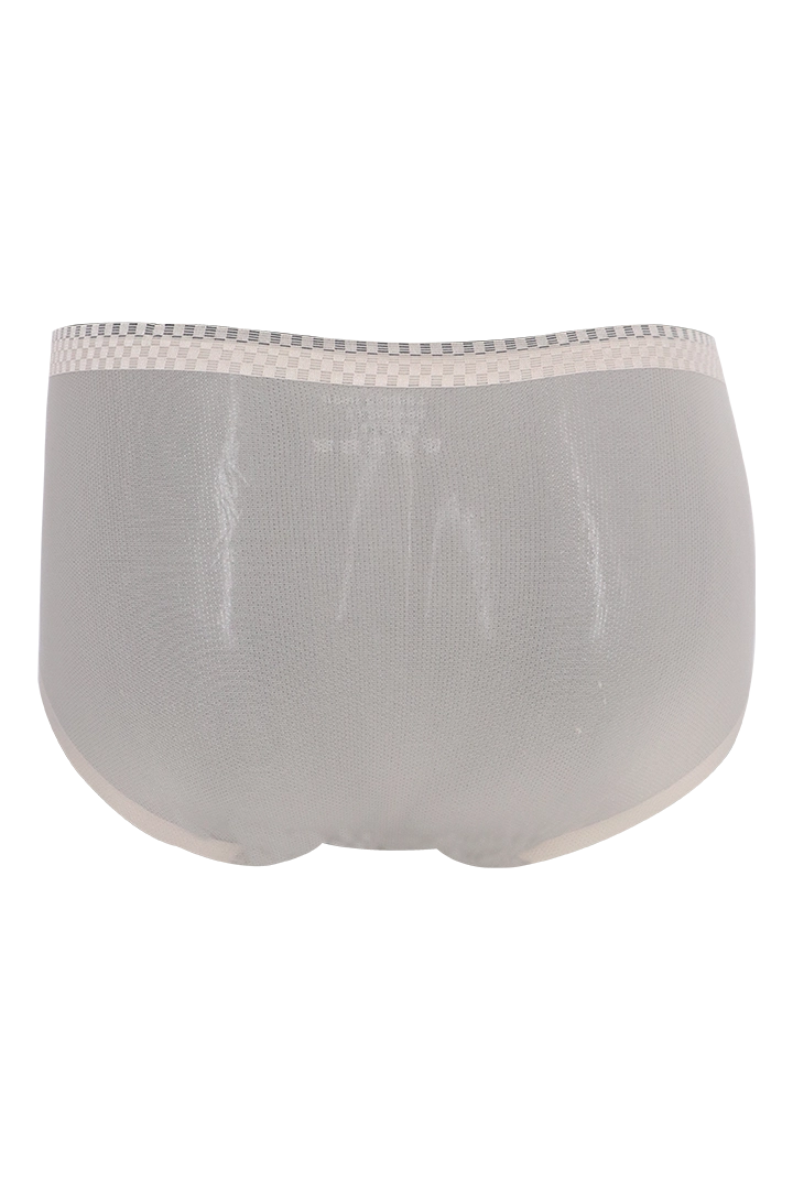 Women Ice Silk Panties