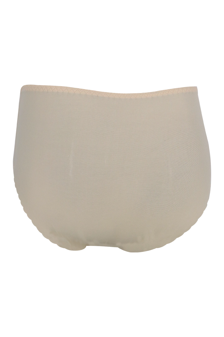 Women Ice Silk High Waist Brief