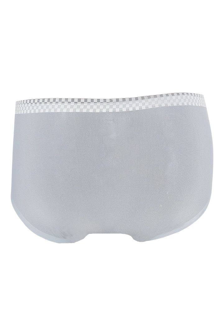 Women Ice Silk Panties