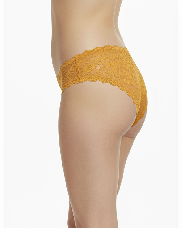 Sheluxe Pack of 2 Purple & Yellow Lace Polyester Panty for Women